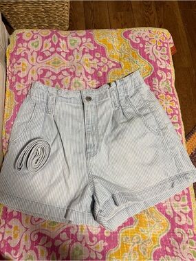 American Eagle Outfitters Light Blue Pinstriped High-Waist Shorts